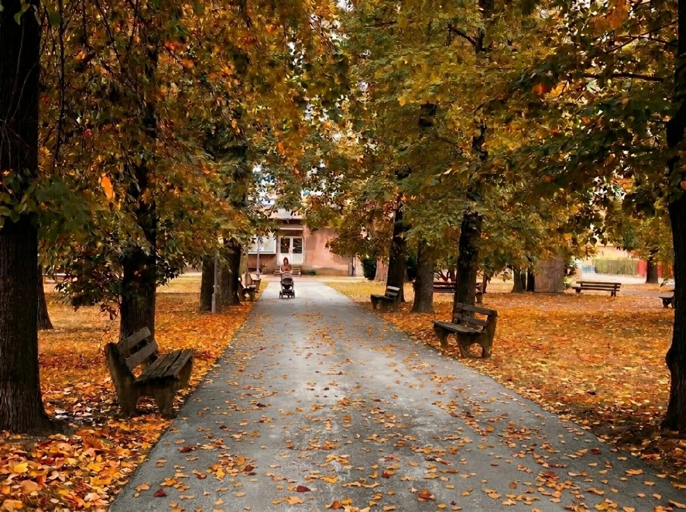 Park Kolejowy w Nowym Sączu