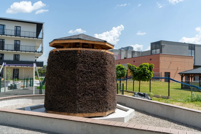 Nowo wybudowany, okrągły element architektoniczny z ciemnozielonej żywej ściany (zielonego muru) na cokole
