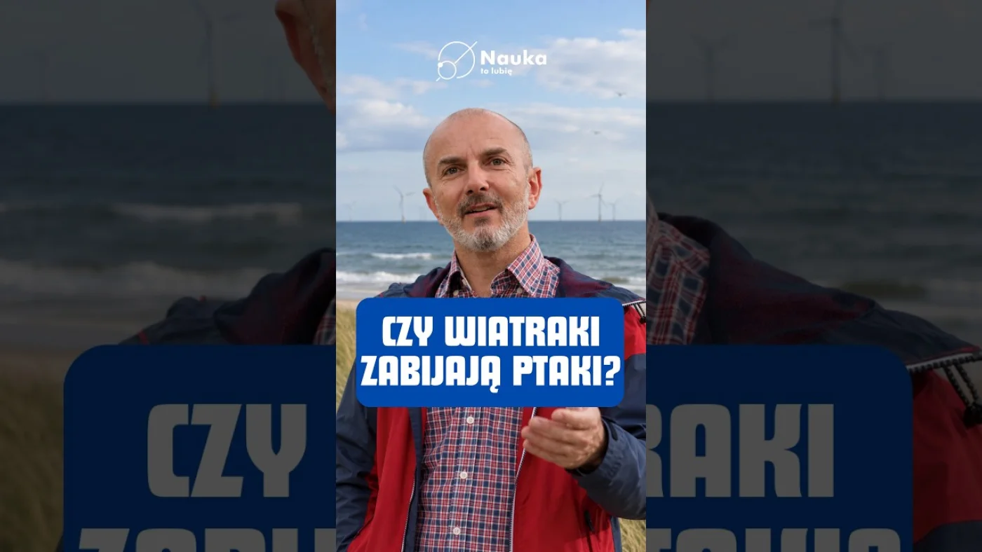 Gdy nadlatują żurawie, turbiny się zatrzymują