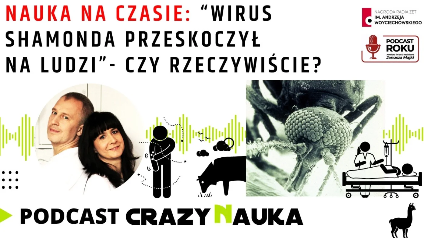 184. Nauka na czasie: “Wirus Shamonda przeskoczył na ludzi” - czy rzeczywiście?